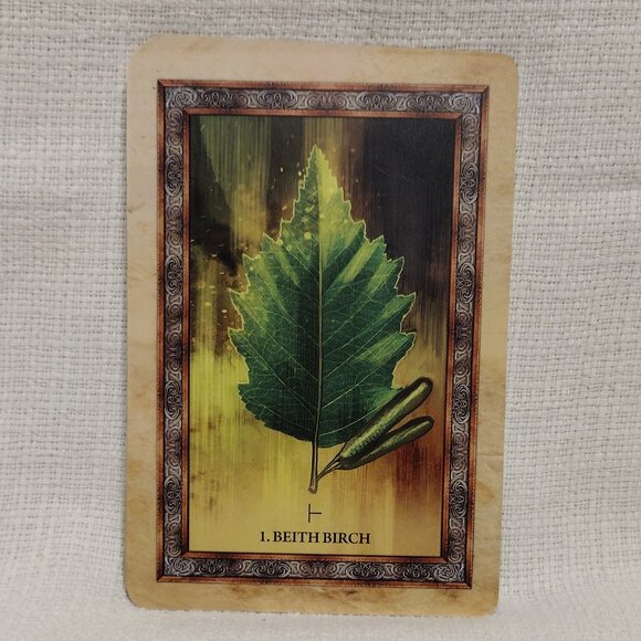 Celtic Tree Oracle - Picture 5 of 12